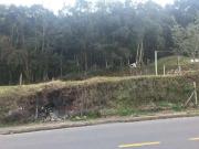 Terreno / Lote para Venda em Caxias do Sul/RS Planalto