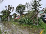Terreno / Lote para Venda em Caxias do Sul/RS Rio Branco