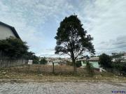 Terreno / Lote para Venda em Caxias do Sul/RS São Ciro