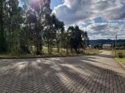 Terreno / Lote para Venda em Caxias do Sul/RS São Ciro