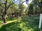 Terreno / Lote para Venda em Caxias do Sul/RS São Ciro