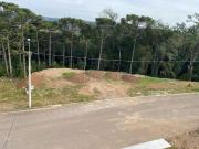 Terreno / Lote para Venda em Caxias do Sul/RS São Giácomo