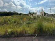 Terreno / Lote para Venda em Caxias do Sul/RS São Giácomo