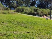 Terreno / Lote para Venda em Caxias do Sul/RS São Luiz