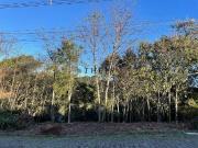 Terreno / Lote para Venda em Caxias do Sul/RS São Luiz