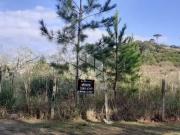 Terreno / Lote para Venda em Caxias do Sul/RS São Luiz