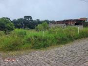 Terreno / Lote para Venda em Caxias do Sul/RS São Luiz