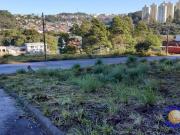 Terreno / Lote para Venda em Caxias do Sul/RS São Luiz