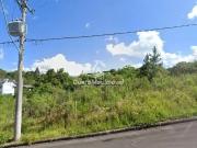 Terreno / Lote para Venda em Caxias do Sul/RS São Virgílio