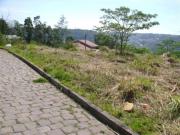 Terreno / Lote para Venda em Caxias do Sul/RS Salgado Filho