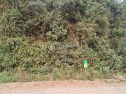 Terreno / Lote para Venda em Caxias do Sul/RS Samuara