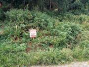 Terreno / Lote para Venda em Caxias do Sul/RS Santa Catarina