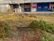 Terreno / Lote para Venda em Caxias do Sul/RS Santa Catarina