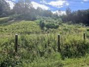 Terreno / Lote para Venda em Caxias do Sul/RS Santa Corona