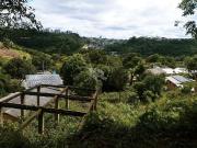 Terreno / Lote para Venda em Caxias do Sul/RS Santa Corona