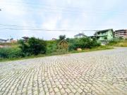 Terreno / Lote para Venda em Caxias do Sul/RS Sanvitto