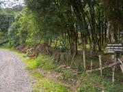 Terreno / Lote para Venda em Caxias do Sul/RS Serrano