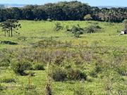 Terreno / Lote para Venda em Caxias do Sul/RS Vila Oliva...