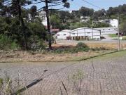Terreno / Lote para Venda em Caxias do Sul/RS Vinhedos