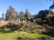 Terreno / Lote para Venda em Caxias do Sul/RS Zorzi