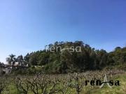 Terreno / Lote para Venda em Caxias do Sul/RS Zorzi