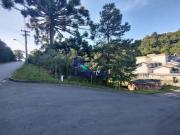 Terreno / Lote para Venda em Caxias do Sul/RS Zorzi