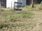 Terreno / Lote para Venda em Cláudio/MG Centro