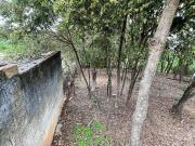 Terreno / Lote para Venda em Contagem/MG Chácara Cotia