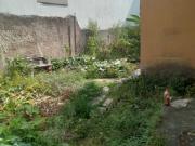 Terreno / Lote para Venda em Contagem/MG Glória