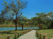Terreno / Lote para Venda em Contagem/MG Quintas Coloniais
