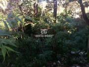 Terreno / Lote para Venda em Contagem/MG Tropical