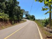 Terreno / Lote para Venda em Coronel Pilar/RS Centro