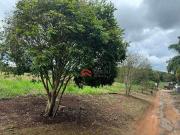 Terreno / Lote para Venda em Cotia/SP Água Espraiada...