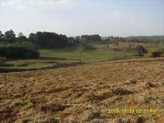 Terreno / Lote para Venda em Cotia/SP Cachoeira