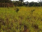 Terreno / Lote para Venda em Cotia/SP Caucaia do Alto