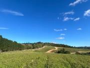 Terreno / Lote para Venda em Cotia/SP Centro Caucaia do Alto