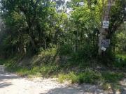 Terreno / Lote para Venda em Cotia/SP Santana