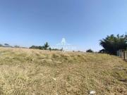 Terreno / Lote para Venda em Cotia/SP Gramado