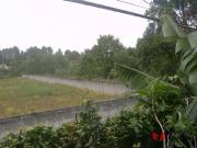 Terreno / Lote para Venda em Cotia/SP Granja Viana