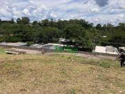 Terreno / Lote para Venda em Cotia/SP Granja Viana