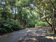 Terreno / Lote para Venda em Cotia/SP Granja Viana