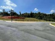 Terreno / Lote para Venda em Cotia/SP Jardim Caiapia