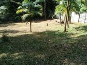 Terreno / Lote para Venda em Cotia/SP Jardim Colibri Terreno / Lote para Venda em Cotia/SP Jardim Colibri