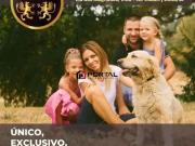 Terreno / Lote para Venda em Cotia/SP Jardim Colibri