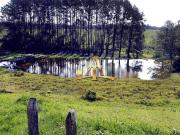 Terreno / Lote para Venda em Cotia/SP Jardim dos...