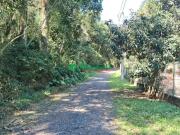 Terreno / Lote para Venda em Cotia/SP Jardim Santa Paula