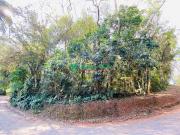 Terreno / Lote para Venda em Cotia/SP Jardim Santa Paula