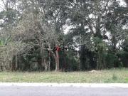 Terreno / Lote para Venda em Cotia/SP Pitas