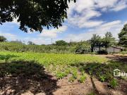 Terreno / Lote para Venda em Cotia/SP Portal do Santa Paula