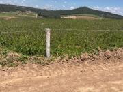 Terreno / Lote para Venda em Cotia/SP Recreio Topázio...